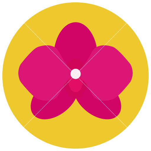 Health and Beauty Pink Flower