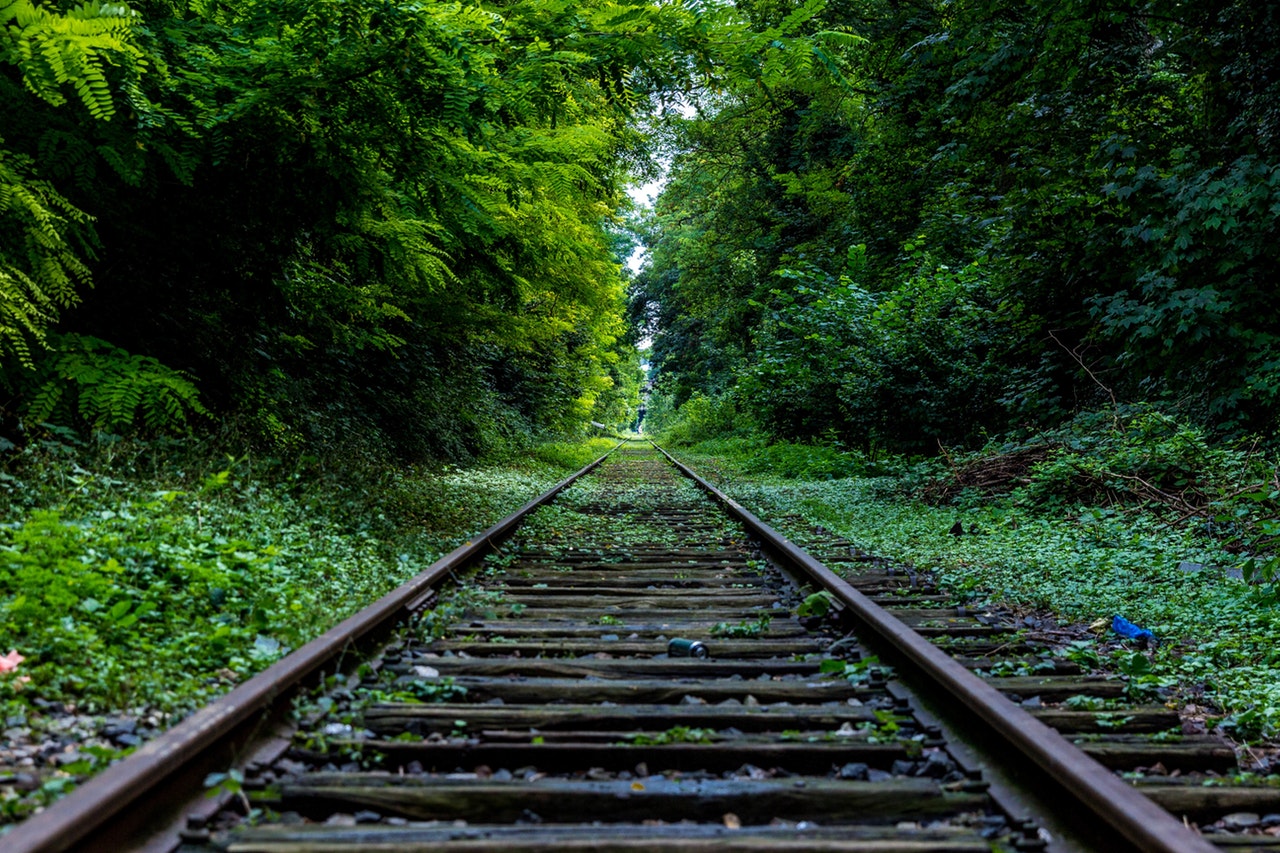 abandoned-forest-industry-34950-1